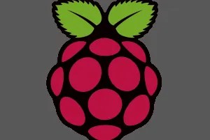 A Raspberry Pi board
